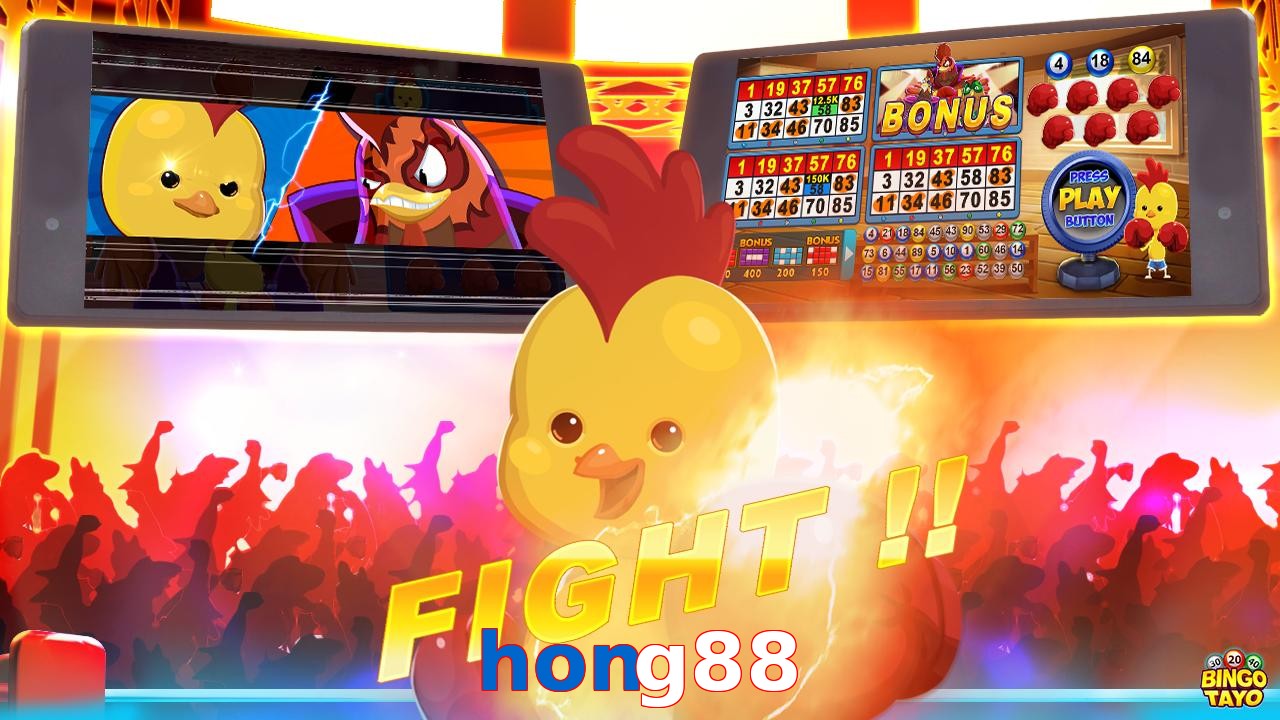 hong88