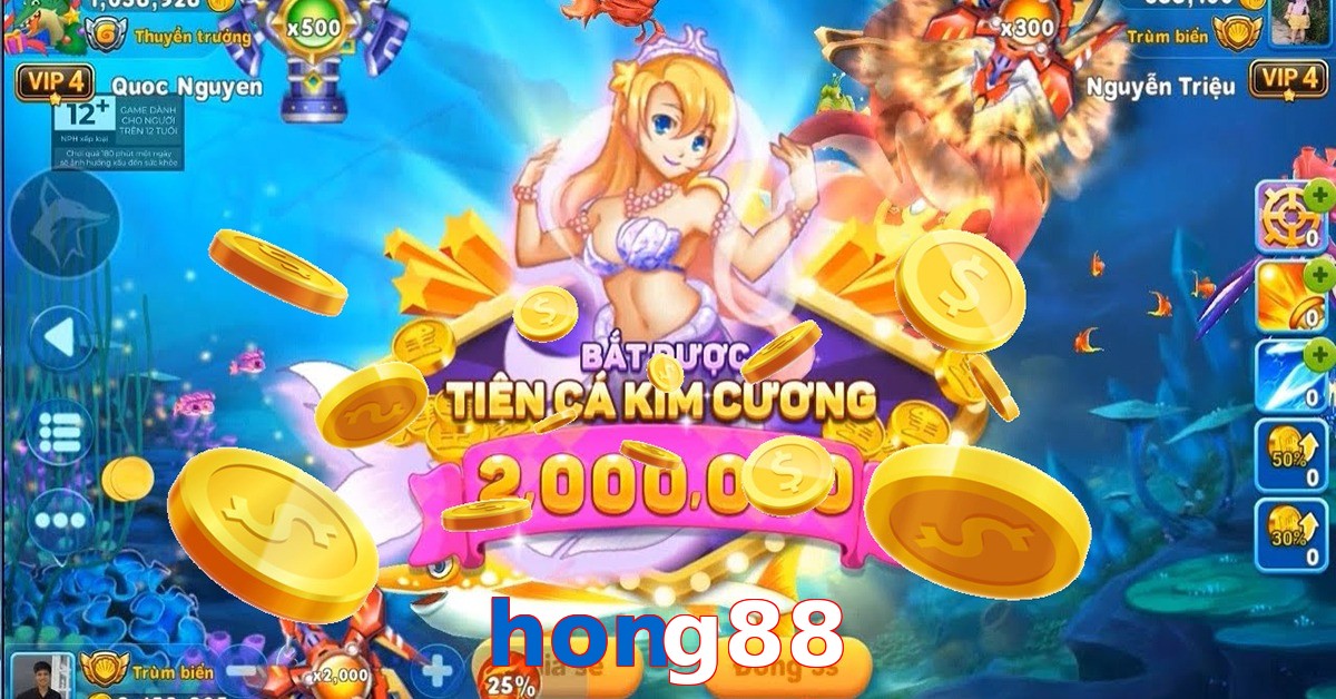 hong88