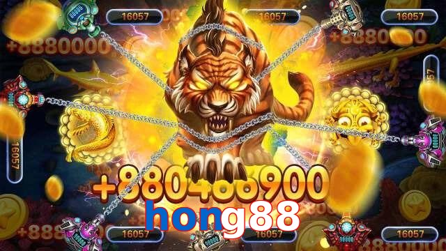 hong88