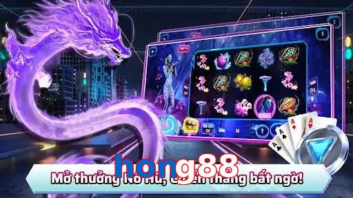 hong88