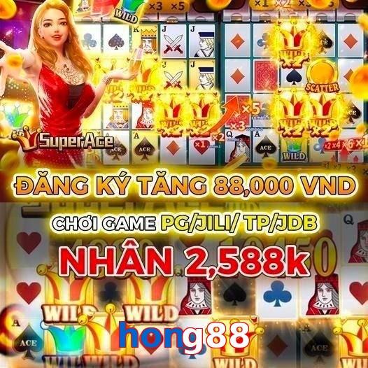 hong88